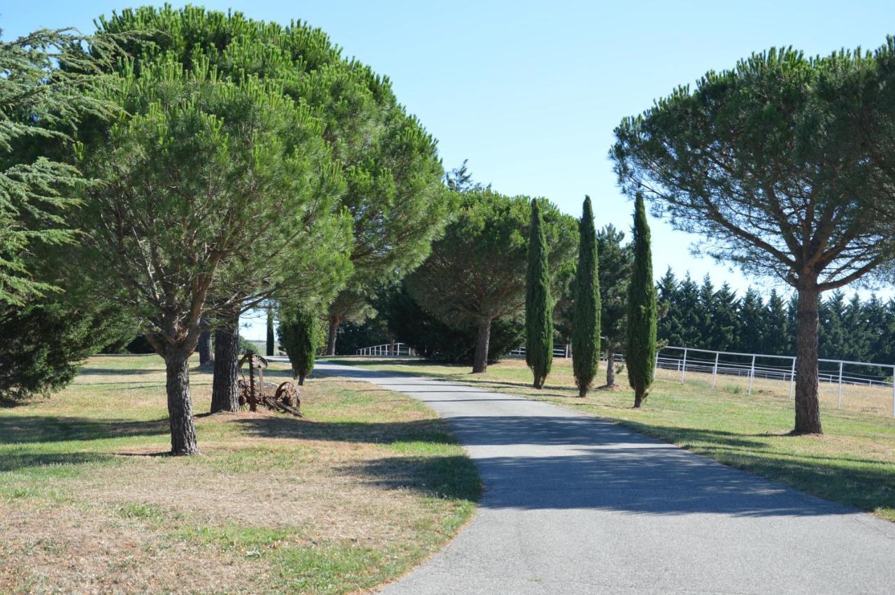 Villa Les Moineaux Du Domaine Du Moulin Etables  Esterno foto